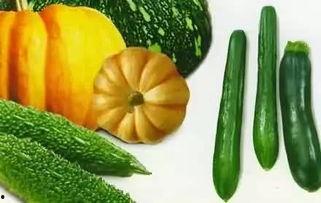 背德的境界 吃瓜,背德境界下的吃瓜众生相