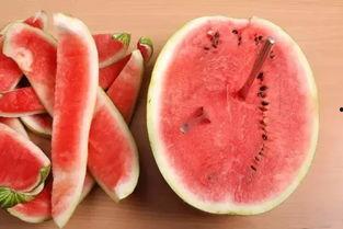 吃瓜解渴视频,揭秘热门视频背后的趣味与真相