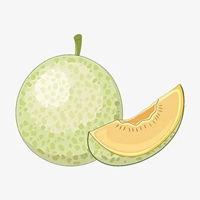 动漫吃哈密瓜头像,动漫头像中的甜蜜冒险