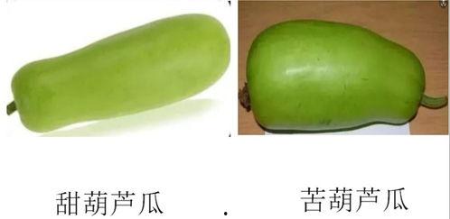 粉头发吃瓜,揭秘娱乐圈最新热点事件