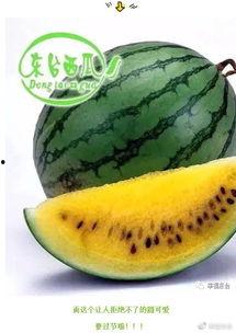 吃瓜世界吃土,揭秘当代年轻人的生存现状