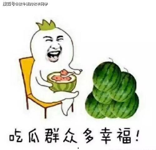 吃饭打架吃瓜,从吃饭到打架,吃瓜群众的围观记