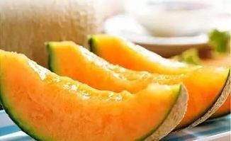 吃夕张蜜瓜,甜蜜邂逅，尽享夏日果香之旅”