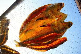 吃瓜群众咸鱼翻身,吃瓜群众逆袭记