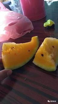 扫码吃瓜安全吗,安全风险与防范指南