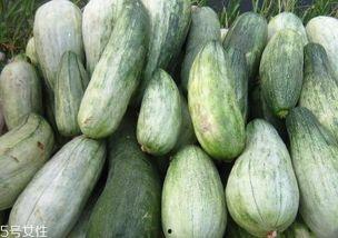 酥瓜能怎么吃,创意烹饪新体验