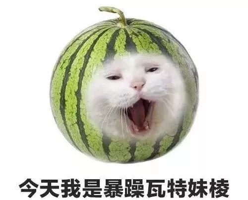 昨天吃瓜今天,揭秘娱乐圈最新热点事件