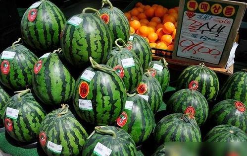 韩国有什么大瓜吃,揭秘不为人知的幕后故事