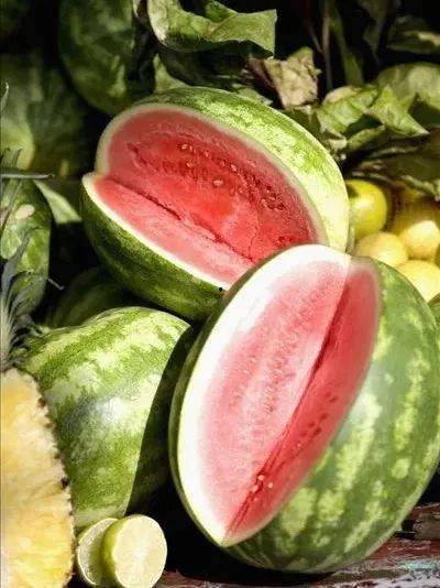 吃瓜元歌,网络红人的崛起与影响力