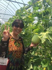 马子佳现场吃瓜,趣味横生瞬间捕捉