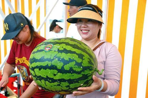 查企业吃瓜,职场八卦背后的真相与影响